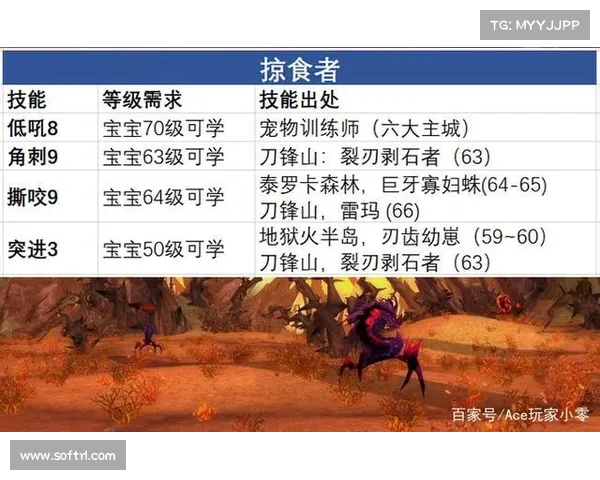 魔兽世界猎人宝宝亲密度最快提升攻略